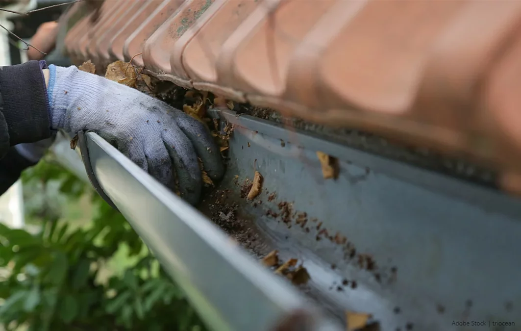 Gutter Cleaning tips