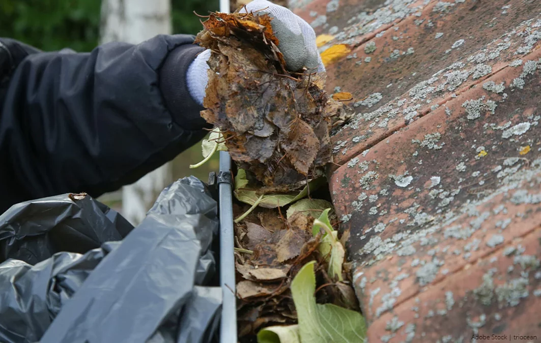 Gutter Cleaning tips
